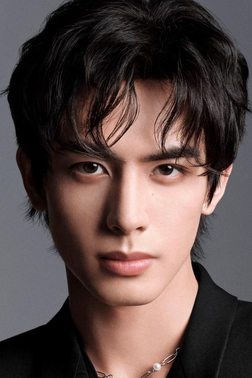 Song Weilong photo
