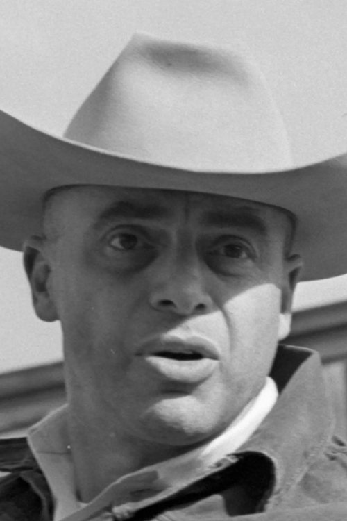 Profile image of Tom Gries