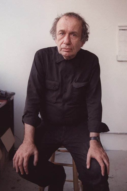 Vito Acconci photo