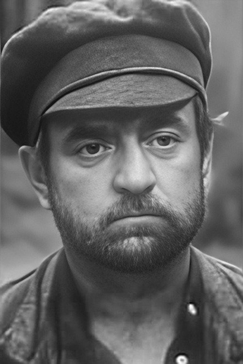 Profile image of Vladimir Lyubomudrov