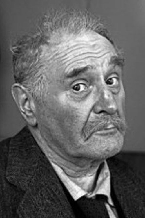 Willy Maertens photo