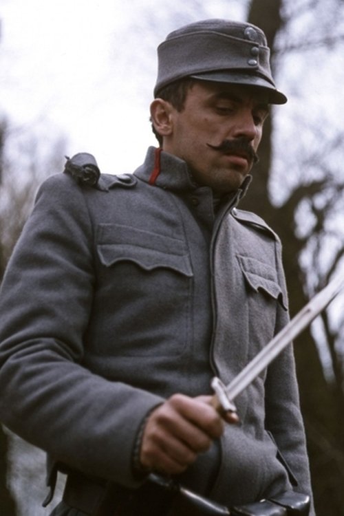 Zoltán Bezerédy photo